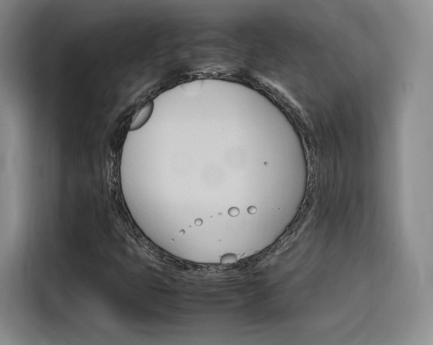 X0000116121399200911231205