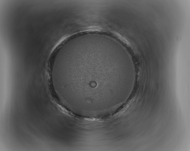 X0000116121400200911231205