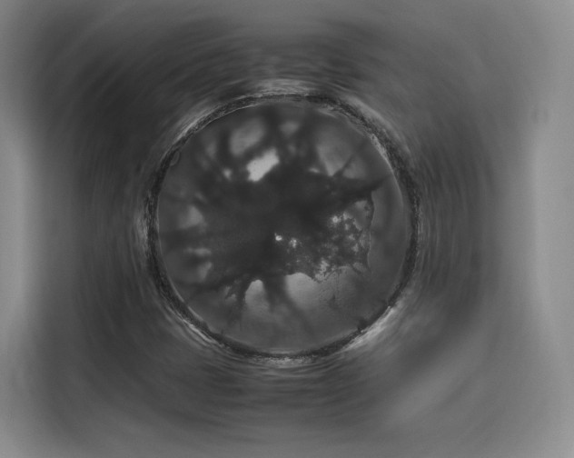 X0000116121401200911231205