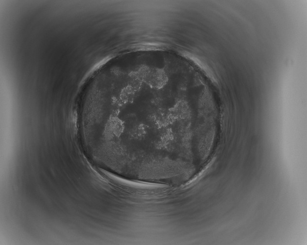 X0000116121402200911231205