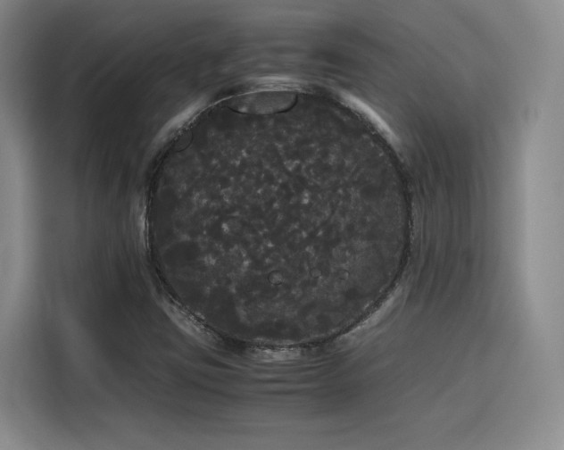 X0000116121403200911231206