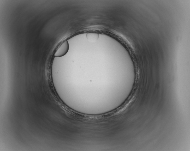 X0000116121405200911231206