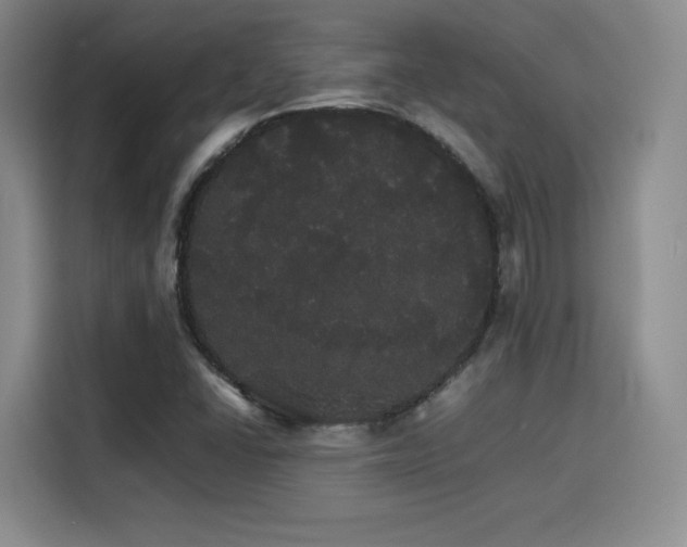 X0000116121406200911231206