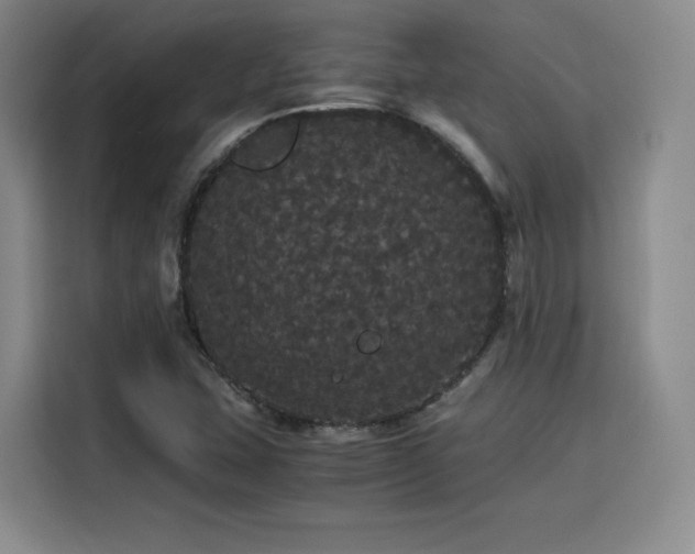 X0000116121407200911231206