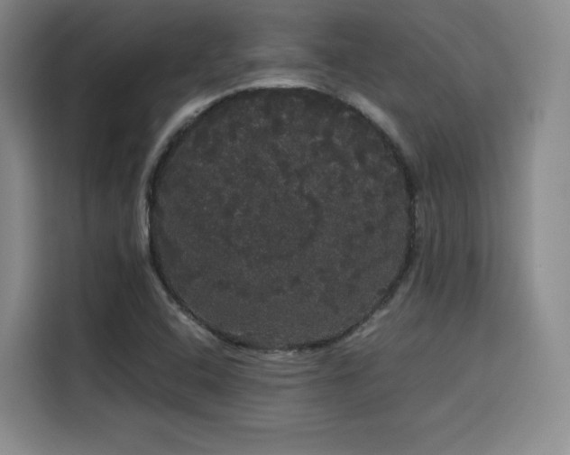 X0000116121408200911231206