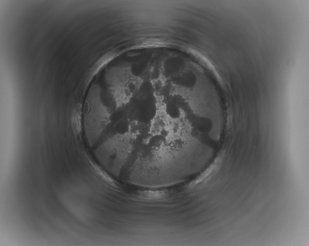 X0000116121409200911231206