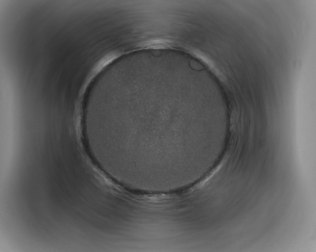 X0000116121410200911231206