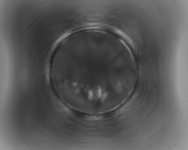 X0000116121411200911231206