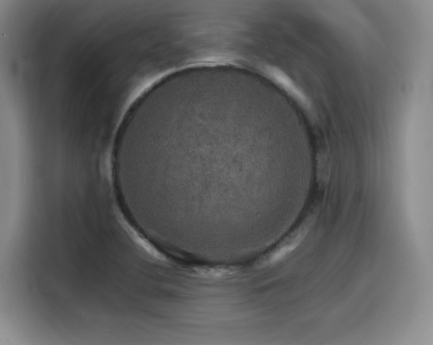 X0000116121412200911231206