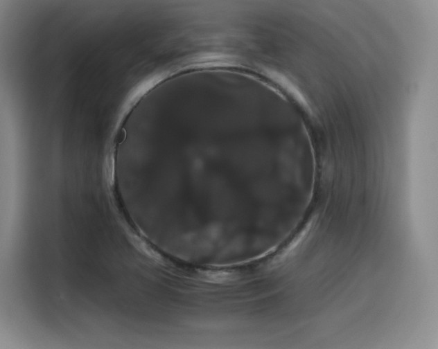 X0000116121413200911231206