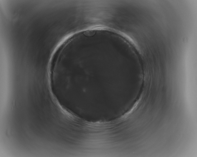 X0000116121414200911231206