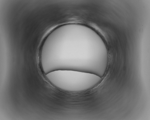 X0000116121415200911231206