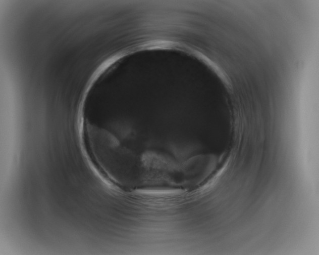 X0000116121418200911231206