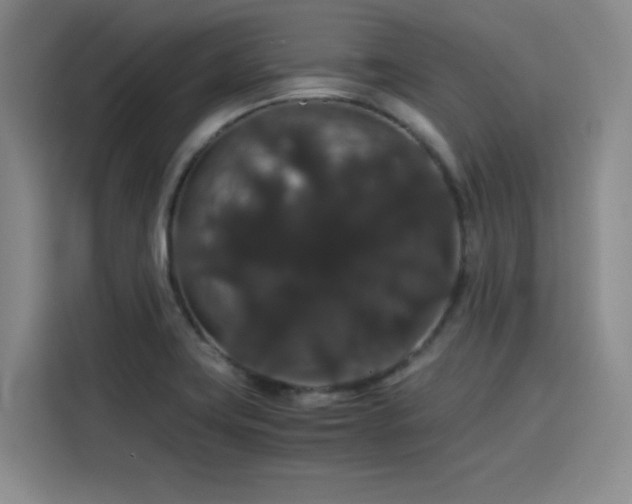 X0000116121419200911231206