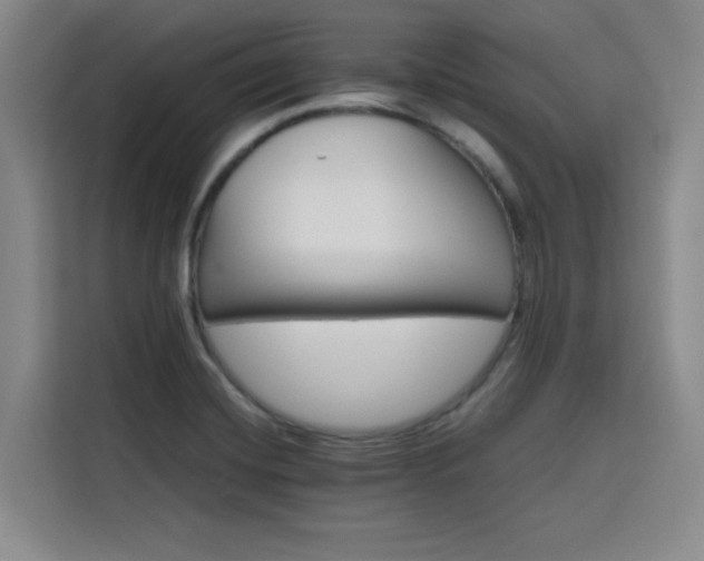 X0000116121420200911231206