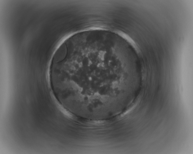 X0000116121423200911231206