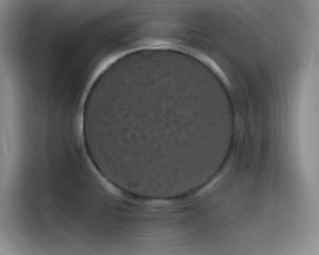 X0000116121424200911231206