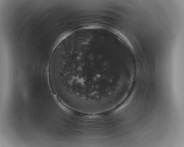 X0000116121425200911231206