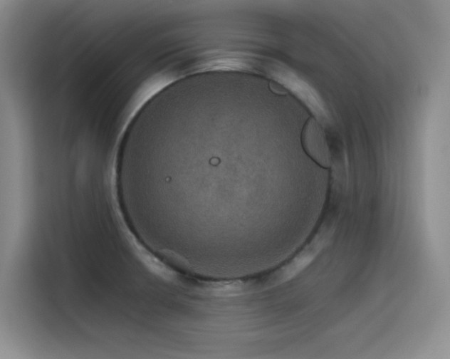 X0000116121426200911231206