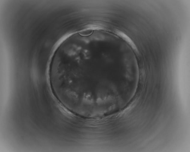 X0000116121427200911231206