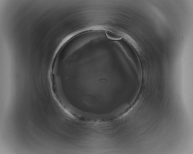 X0000116121428200911231206