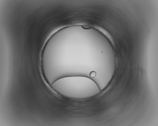 X0000116121431200911231206