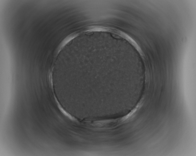 X0000116121433200911231206