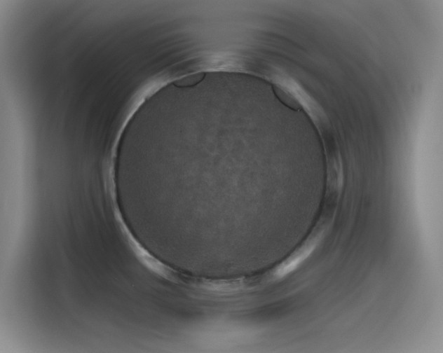 X0000116121434200911231206