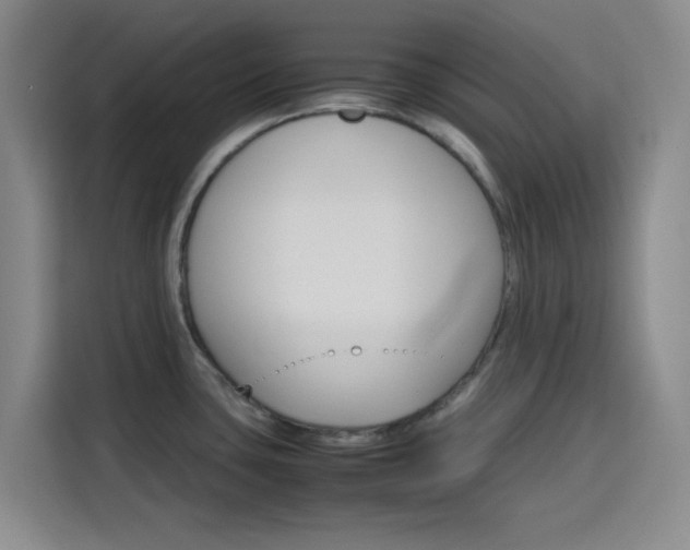 X0000116121435200911231206