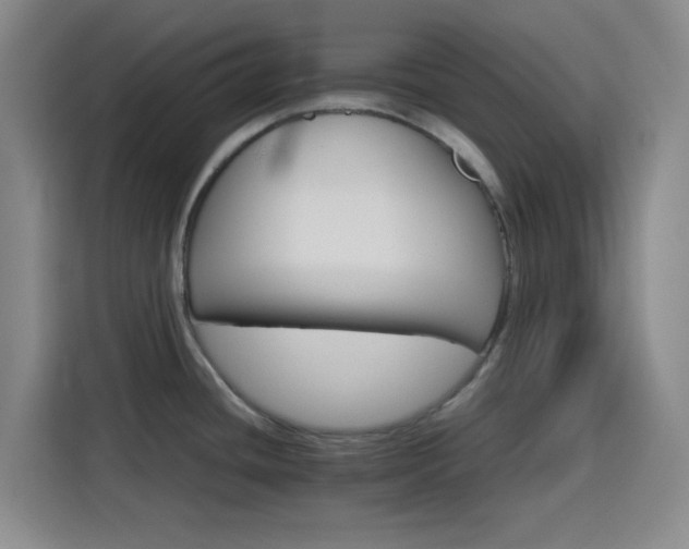 X0000116121436200911231206