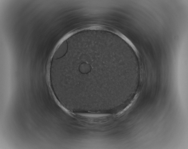 X0000116121437200911231206