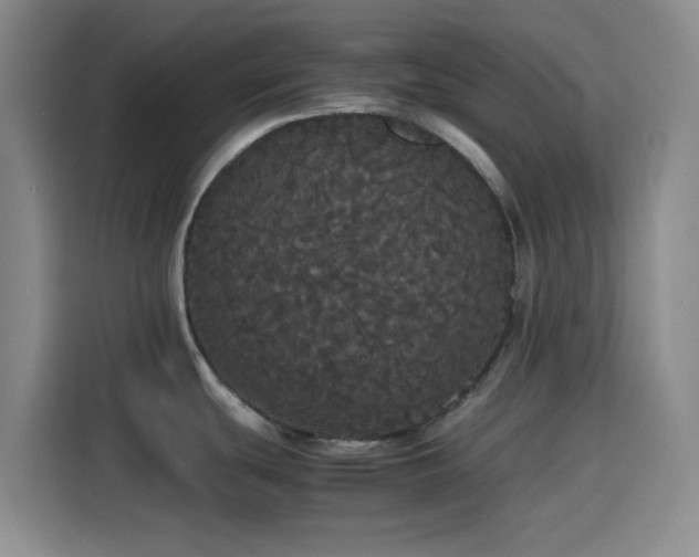 X0000116121439200911231206