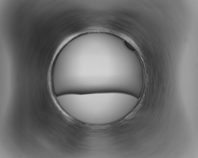 X0000116121440200911231206