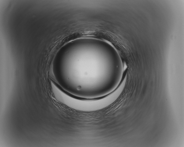 X0000116121441200911231205