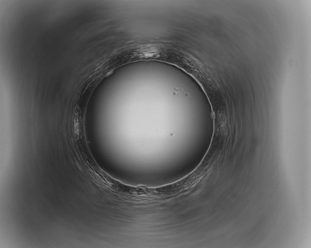 X0000116121442200911231205