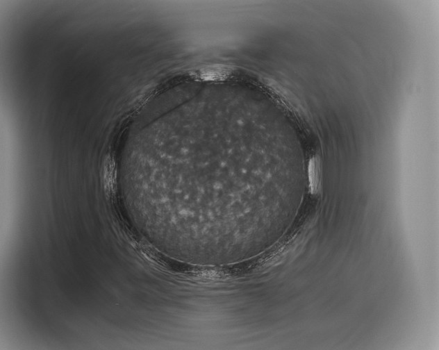 X0000116121443200911231205