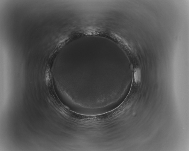 X0000116121444200911231205