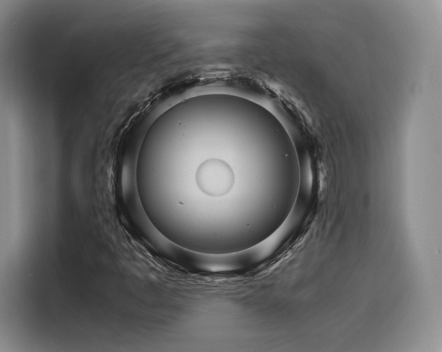 X0000116121445200911231205