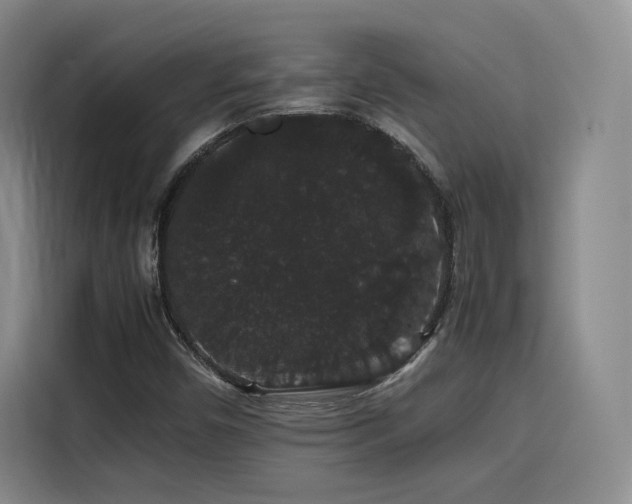 X0000116121450200911231205