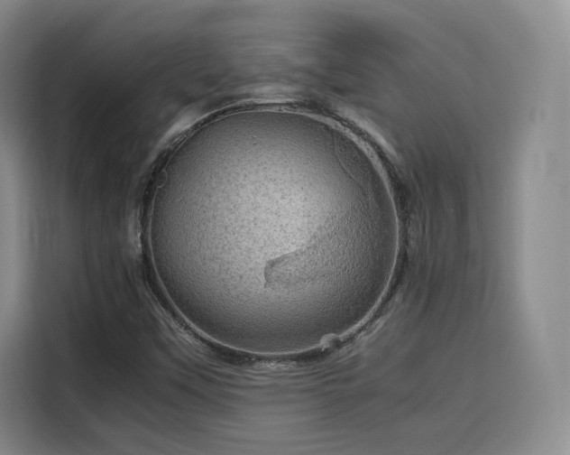 X0000116121451200911231205