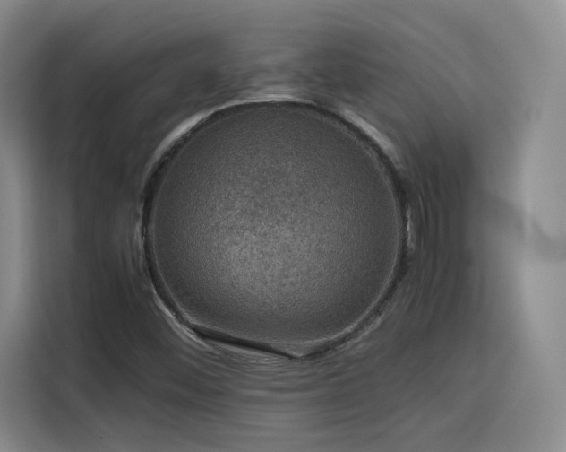 X0000116121452200911231205