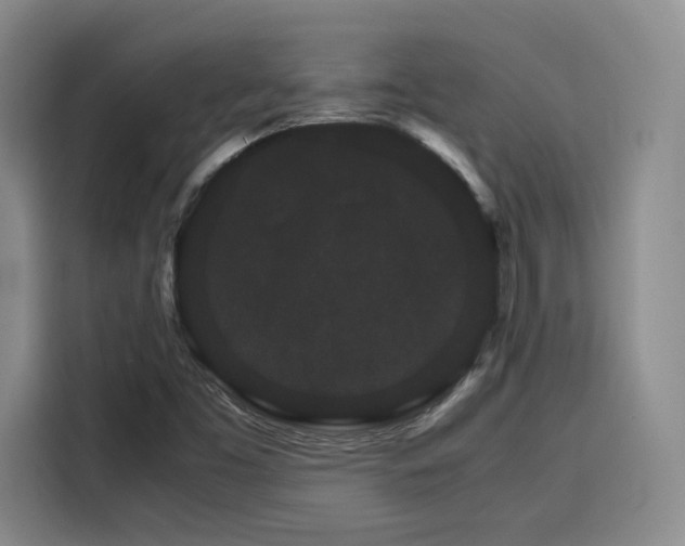 X0000116121453200911231205