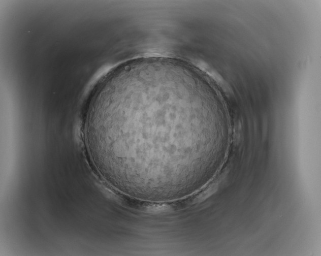 X0000116121454200911231205