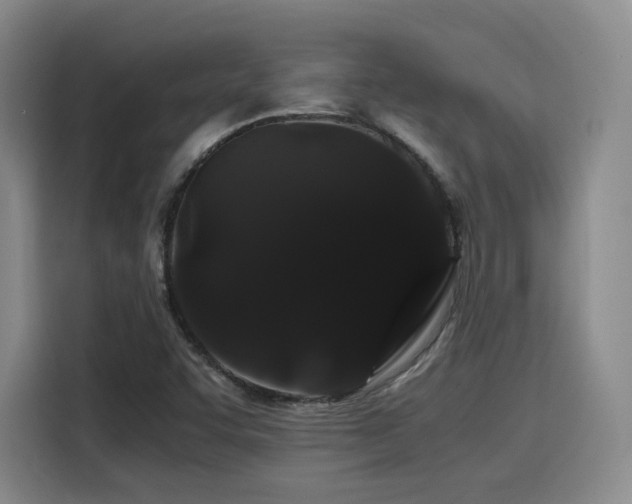 X0000116121455200911231205