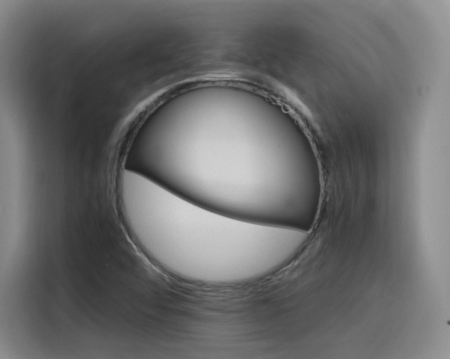 X0000116121456200911231205