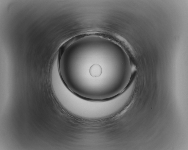 X0000116121457200911231205