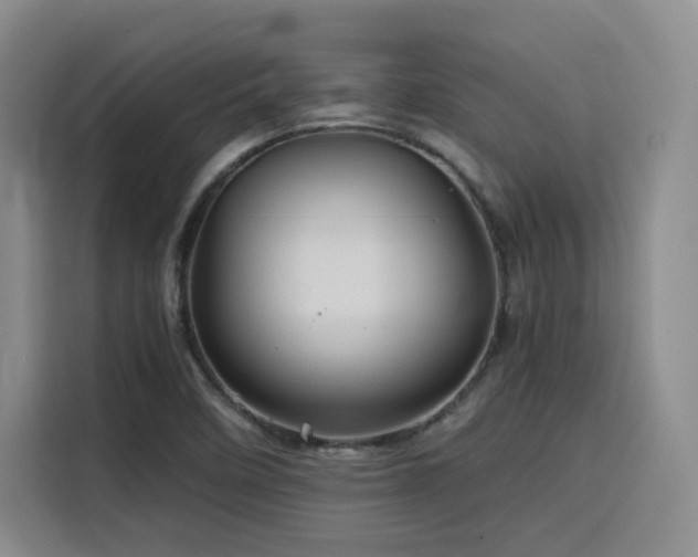 X0000116121458200911231205