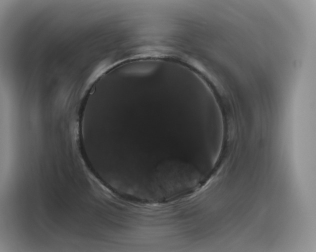 X0000116121459200911231205