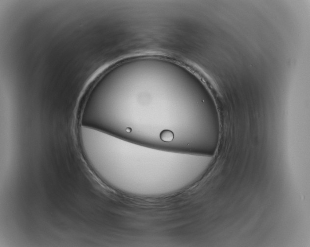 X0000116121460200911231205