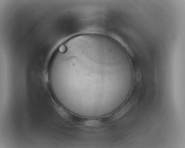 X0000116121462200911231205